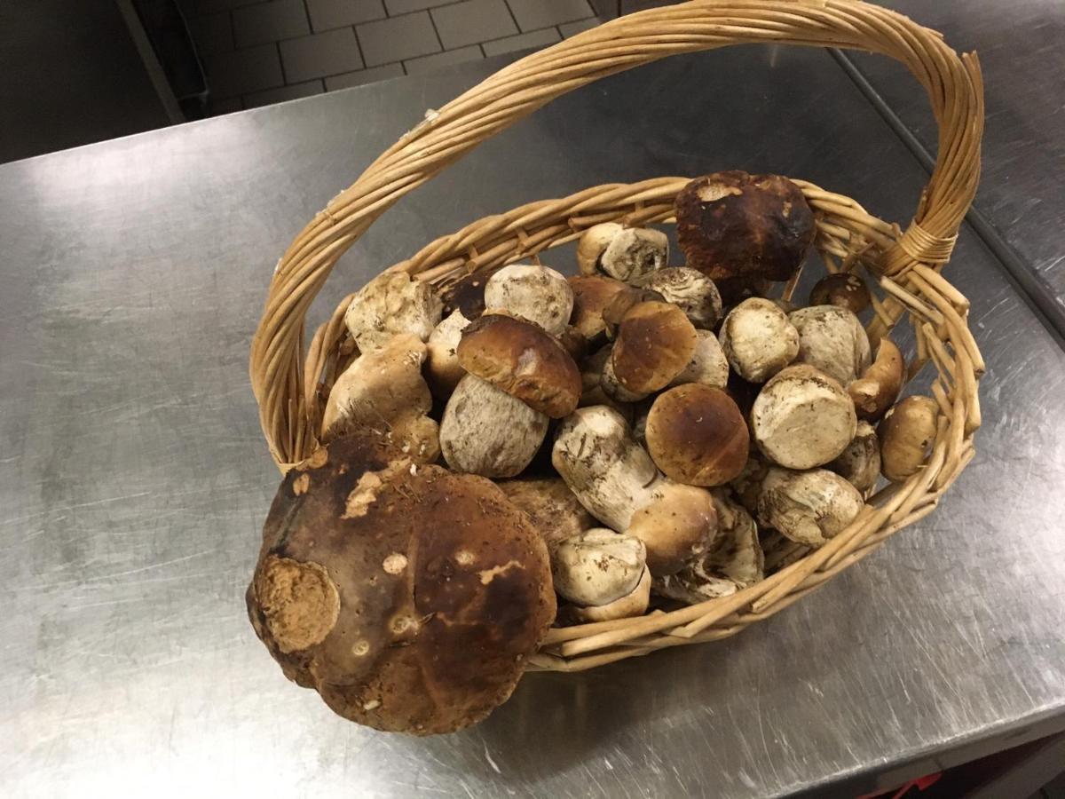 意大利酒店 卡斯特罗迪费耶美 外观 照片